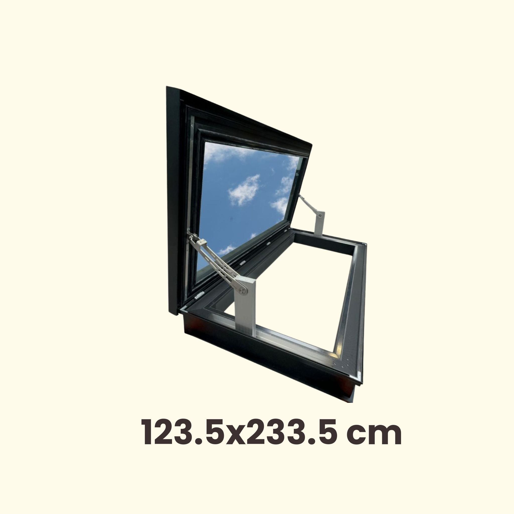 123.5 x 233.5 cm Elektrisch Daktoetredingsluik